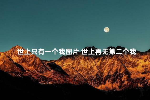 世上只有一个我图片 世上再无第二个我图片
